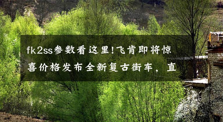 fk2ss参数看这里!飞肯即将惊喜价格发布全新复古街车，直怼力帆新车KP master200
