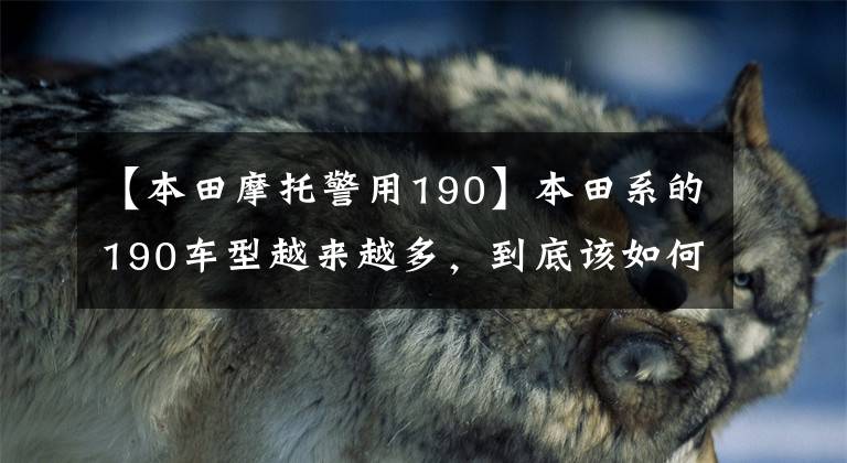 【本田摩托警用190】本田系的190车型越来越多,到底该如何选择?