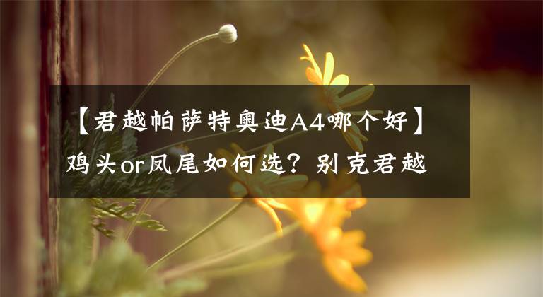 【君越帕萨特奥迪A4哪个好】鸡头or凤尾如何选?别克君越对比奥迪A4L