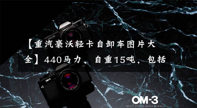 【重汽豪沃轻卡自卸车图片大全】440马力，自重15吨，包括稳定杆，渣打城建工程工作条件虎宝很合适。