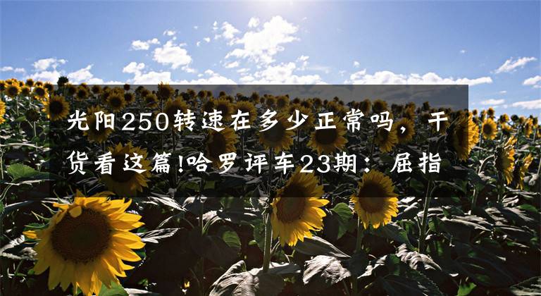 光阳250转速在多少正常吗，干货看这篇!哈罗评车23期：屈指可数的250cc国产踏板车—光阳Xciting 250i