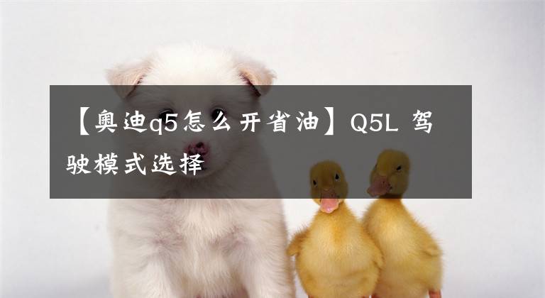 【奥迪q5怎么开省油】Q5L 驾驶模式选择