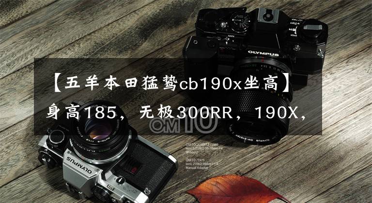 【五羊本田猛鸷cb190x坐高】身高185，无极300RR，190X，125，哪个好？