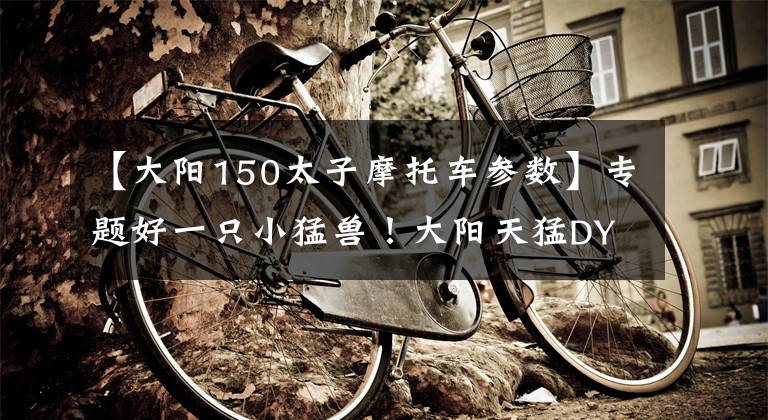 【大阳150太子摩托车参数】专题好一只小猛兽!大阳天猛DY150-18全国首测