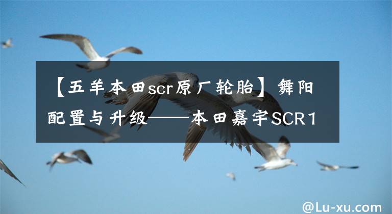 【五羊本田scr原厂轮胎】舞阳配置与升级——本田嘉宇SCR110实拍