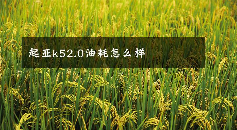 起亚k52.0油耗怎么样