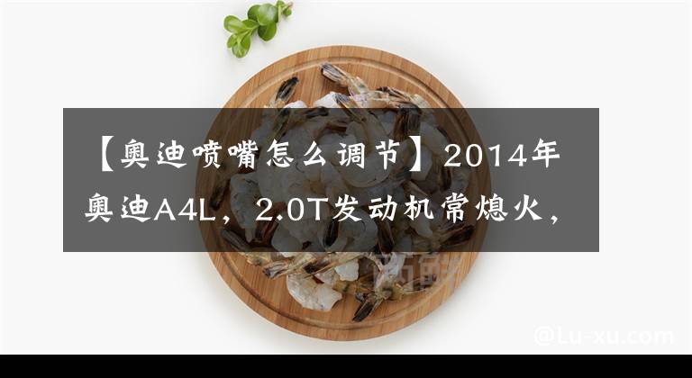 【奥迪喷嘴怎么调节】2014年奥迪A4L,2.0T发动机常熄火,类似缺缸抖动,废气浓故障