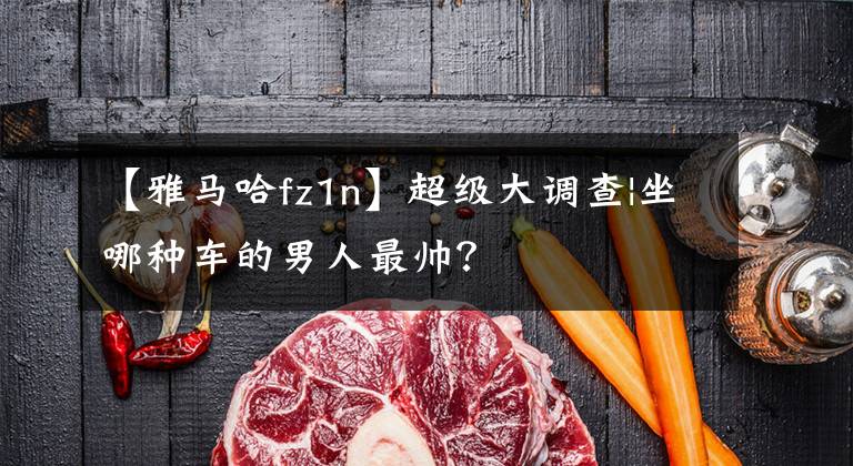 【雅马哈fz1n】超级大调查|坐哪种车的男人最帅?