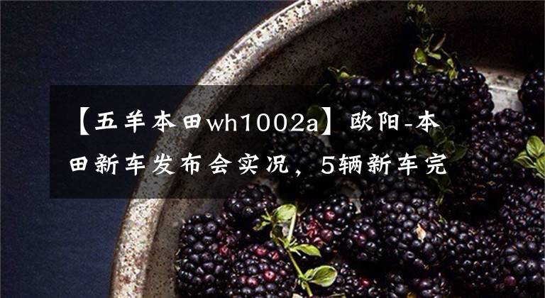 【五羊本田wh1002a】欧阳-本田新车发布会实况,5辆新车完整介绍!