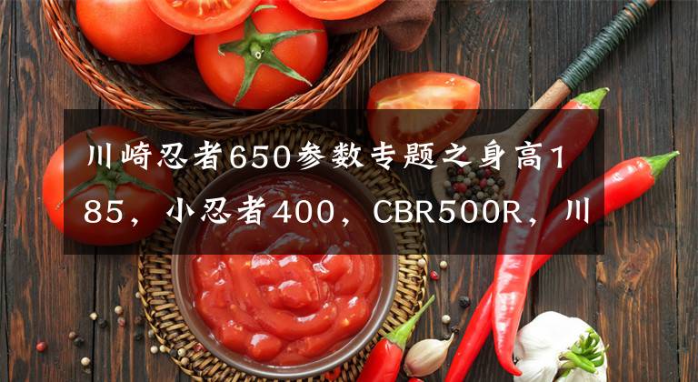 川崎忍者650参数专题之身高185，小忍者400，CBR500R，川崎650，求分析