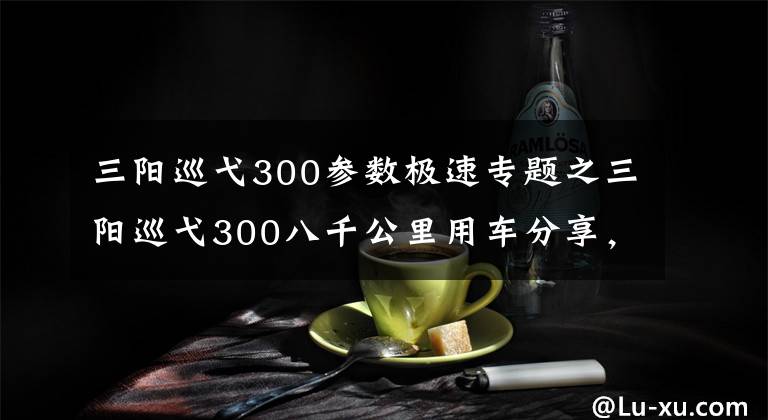 三阳巡弋300参数极速专题之三阳巡弋300八千公里用车分享,该骂骂,该夸夸,换你会买么
