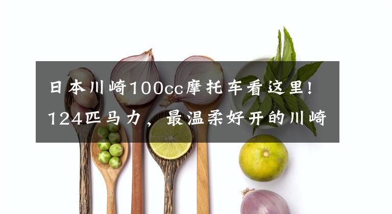 日本川崎100cc摩托车看这里!124匹马力,最温柔好开的川崎机车,一米七以下都能开