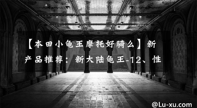 【本田小龟王摩托好骑么】新产品推荐：新大陆龟王-12、性价比之王！