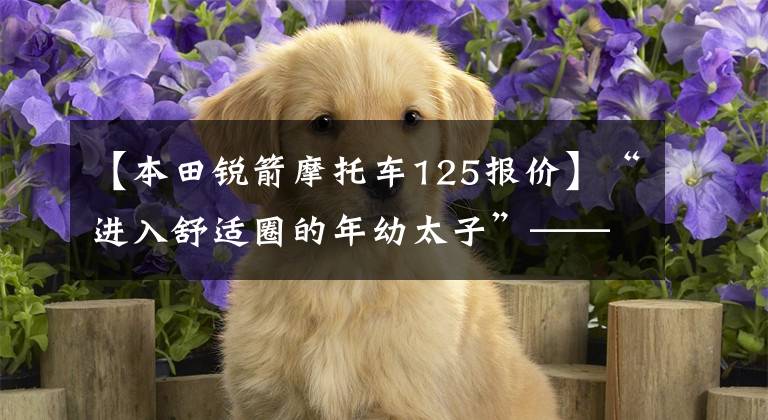 【本田锐箭摩托车125报价】“进入舒适圈的年幼太子”——新国死锐猛烈CB125T评价