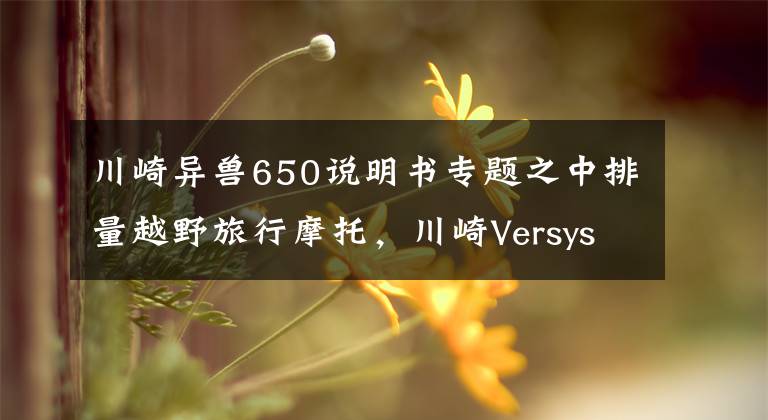 川崎异兽650说明书专题之中排量越野旅行摩托,川崎Versys650LT,双缸水冷60马力
