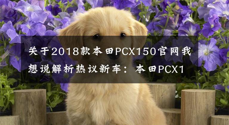 关于2018款本田PCX150官网我想说解析热议新车:本田PCX150