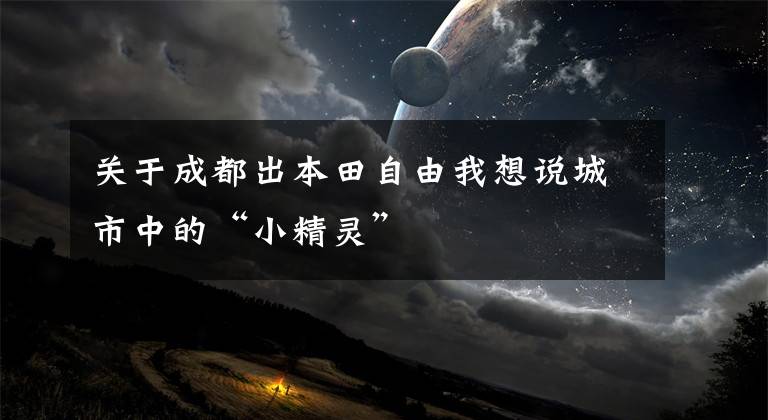关于成都出本田自由我想说城市中的“小精灵”