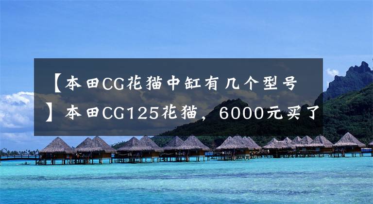 【本田CG花猫中缸有几个型号】本田CG125花猫，6000元买了一辆，外观不变，灵魂不再存在。