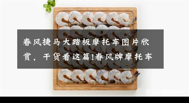 春风捷马大踏板摩托车图片欣赏,干货看这篇!春风牌摩托车的前景如何?它有哪些优缺点?老骑士来给你答案