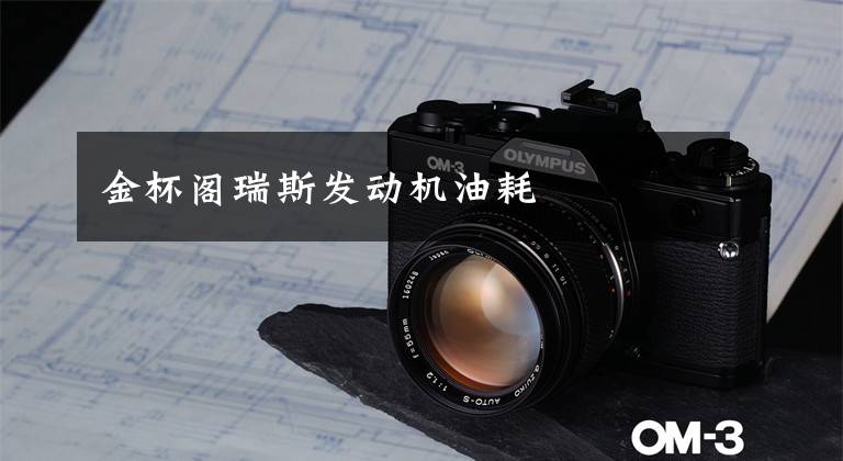 金杯阁瑞斯发动机油耗