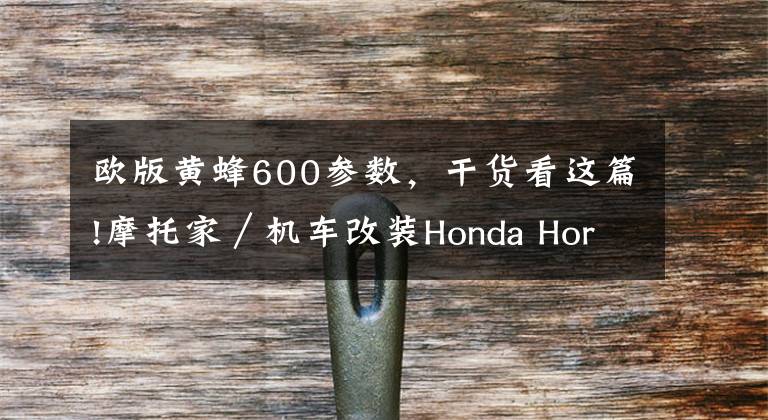 欧版黄蜂600参数,干货看这篇!摩托家/机车改装Honda Hornet 600