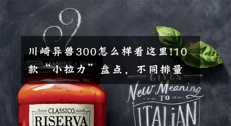 川崎异兽300怎么样看这里!10款“小拉力”盘点，不同排量都有，就看个人段位了
