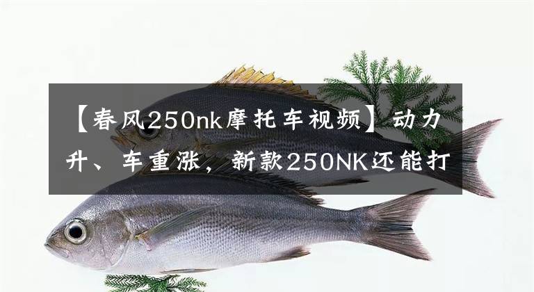 【春风250nk摩托车视频】动力升、车重涨,新款250NK还能打吗?