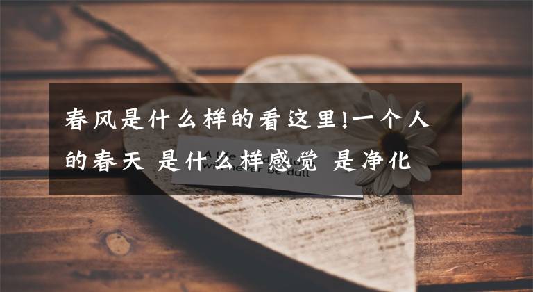 春风是什么样的看这里!一个人的春天 是什么样感觉 是净化心灵的孤独