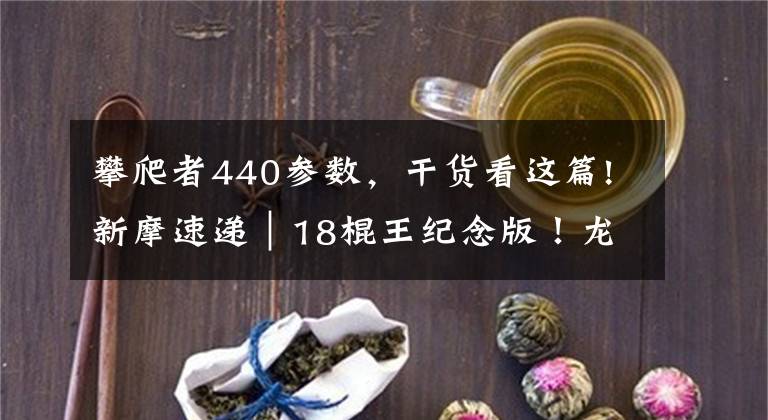 攀爬者440参数，干货看这篇!新摩速递｜18棍王纪念版！龙嘉V途250巡航/混动摩托9月发售2.6万