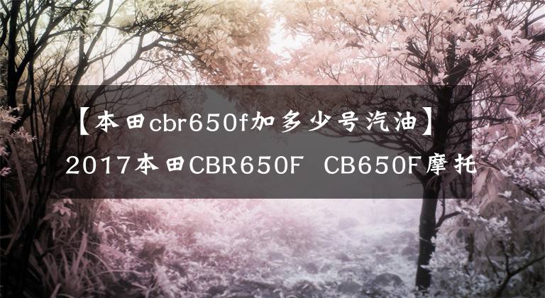 【本田cbr650f加多少号汽油】2017本田CBR650F CB650F摩托车试车