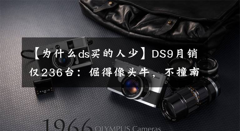【为什么ds买的人少】DS9月销仅236台:倔得像头牛,不撞南墙不回头