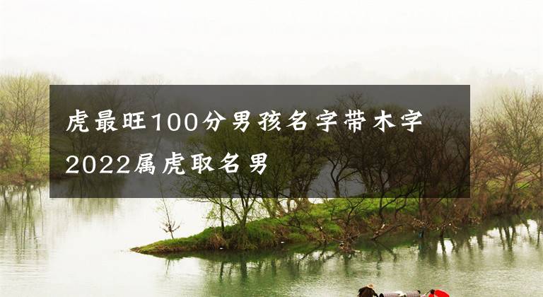 虎最旺100分男孩名字带木字 2022属虎取名男