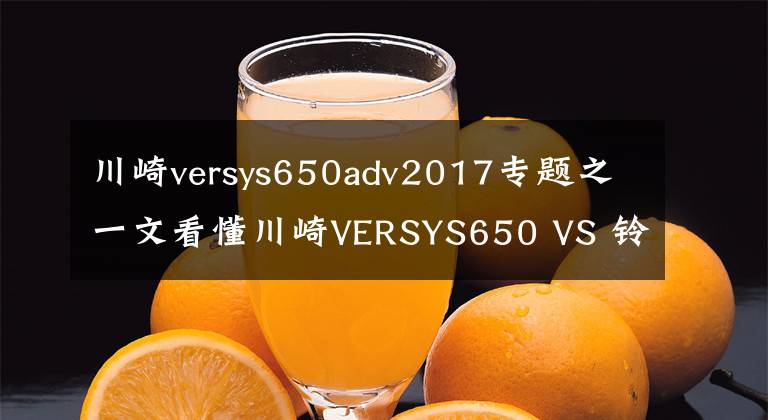 川崎versys650adv2017专题之一文看懂川崎VERSYS650 VS 铃木V-STROM650,选择谁不必挠头