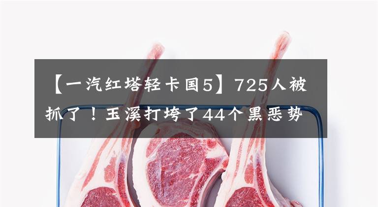 【一汽红塔轻卡国5】725人被抓了!玉溪打垮了44个黑恶势力犯罪集团