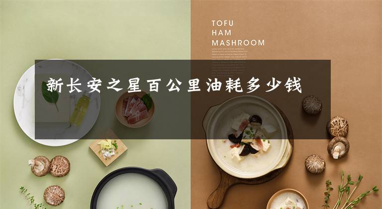新长安之星百公里油耗多少钱