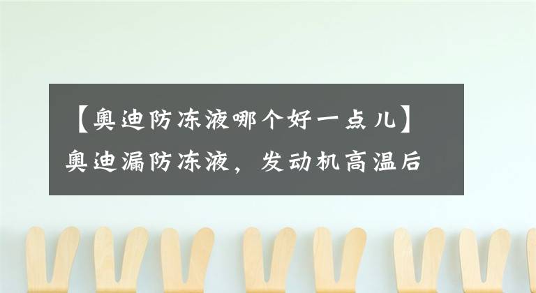 【奥迪防冻液哪个好一点儿】奥迪漏防冻液,发动机高温后憋坏大水箱!