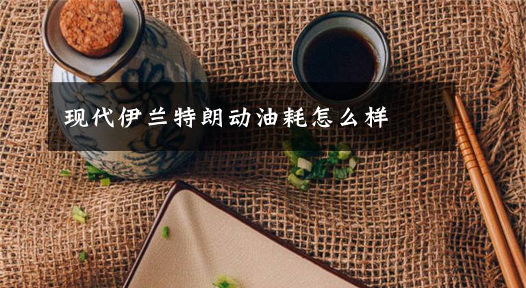 现代伊兰特朗动油耗怎么样