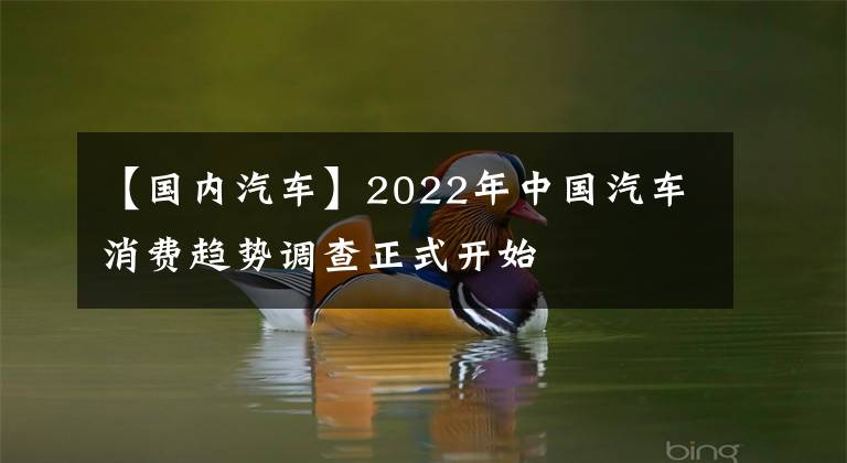 【国内汽车】2022年中国汽车消费趋势调查正式开始