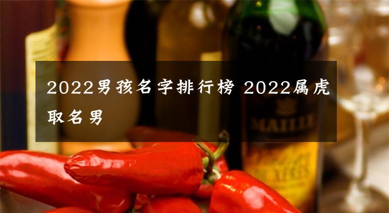 2022男孩名字排行榜 2022属虎取名男