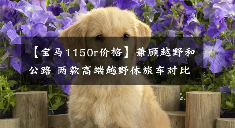【宝马1150r价格】兼顾越野和公路 两款高端越野休旅车对比