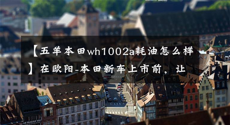 【五羊本田wh1002a耗油怎么样】在欧阳-本田新车上市前，让我们一起看看在过去的25年里欧阳-本田制造了什么样的车！