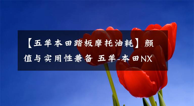 【五羊本田踏板摩托油耗】颜值与实用性兼备 五羊-本田NX125测评
