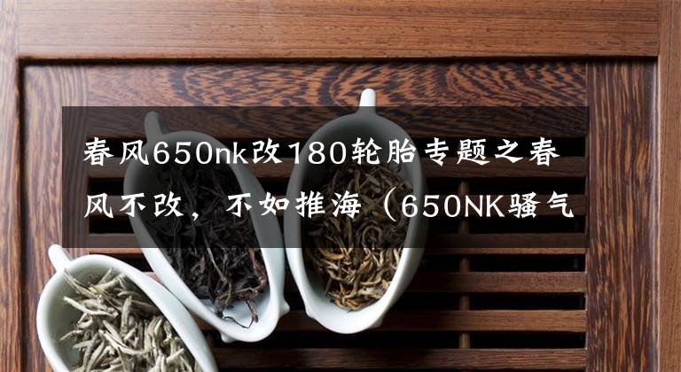 春风650nk改180轮胎专题之春风不改,不如推海(650NK骚气改装)