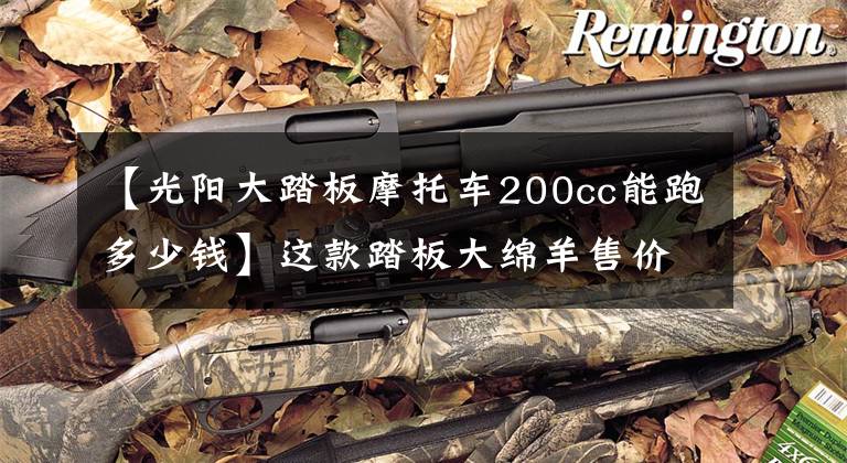 【光阳大踏板摩托车200cc能跑多少钱】这款踏板大绵羊售价20800元，电喷+水冷双缸，百公里耗油2.8L