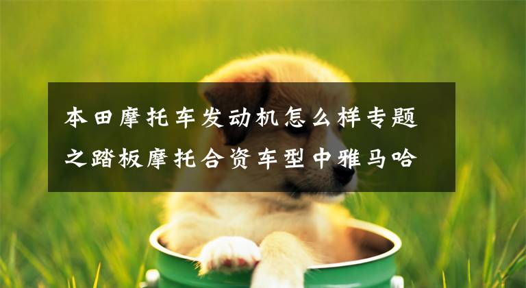 本田摩托车发动机怎么样专题之踏板摩托合资车型中雅马哈本田铃木,发动机谁更胜一筹