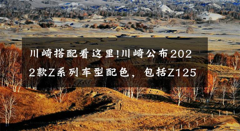 川崎搭配看这里!川崎公布2022款Z系列车型配色，包括Z125、Z400、Z650以及Z900