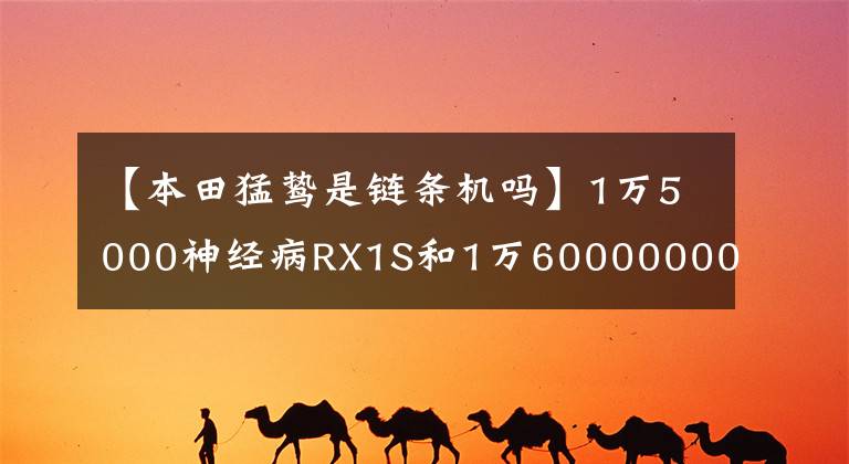 【本田猛鸷是链条机吗】1万5000神经病RX1S和1万6000000000000000000000000000000000000000000000000000000000000000000000000