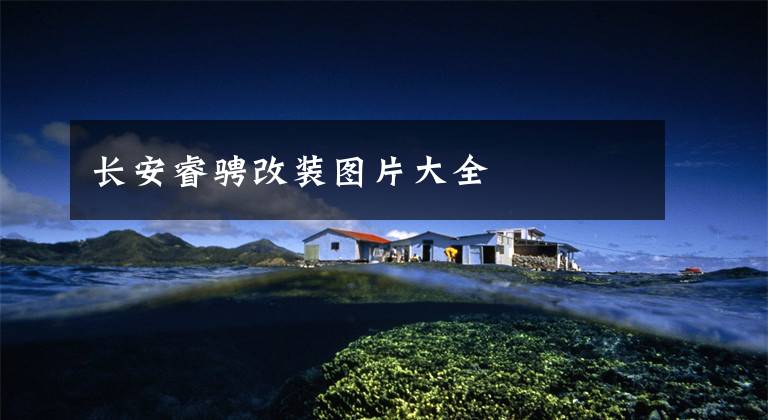 长安睿骋改装图片大全