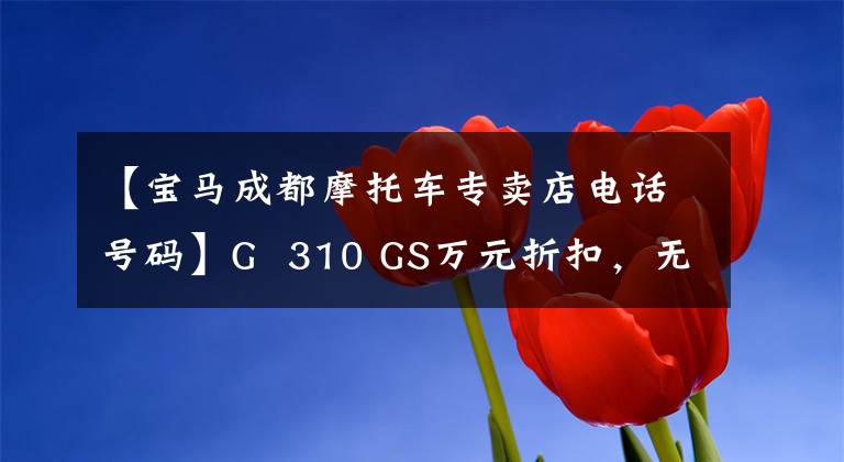 【宝马成都摩托车专卖店电话号码】G 310 GS万元折扣,无息,还可以享受换货,还可以近距离接送。