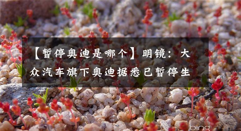 【暂停奥迪是哪个】明镜：大众汽车旗下奥迪据悉已暂停生产A6